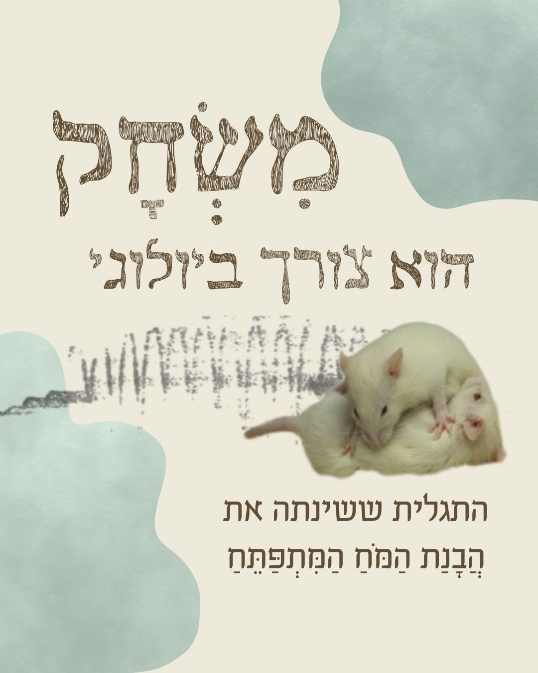 שינה, משחק, ומה שהמוח עושה כשאנחנו לא מסתכלים